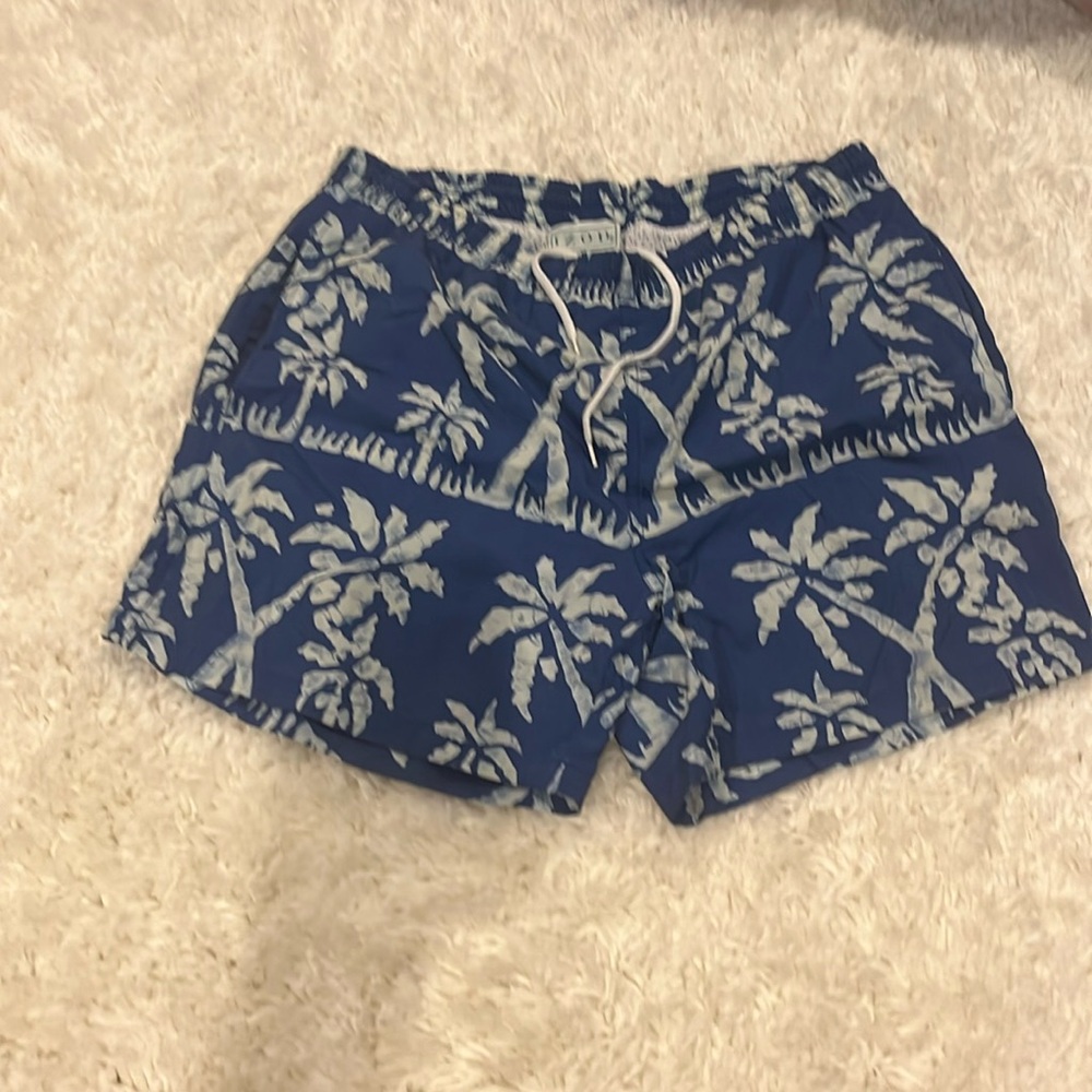Izod men’s swim suit